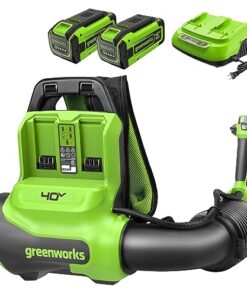 Greenworks 40V (175 MPH / 710 CFM) Dual Port Cordless Brushless Backpack Leaf Blower, (2) 8.0Ah Battery and Charger Included